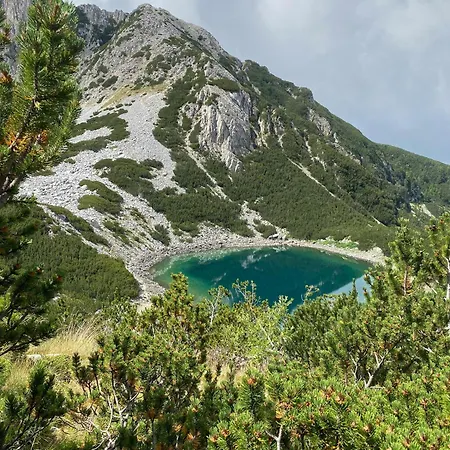 Apartament Next To The Lift