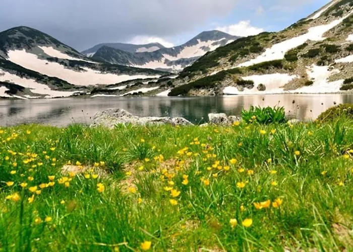 Next To The Lift 班斯科